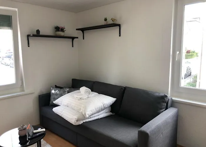 Joy - Lachen Apartament St. Gallen